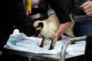 69079994_818146641913095_8078382585224364032_n