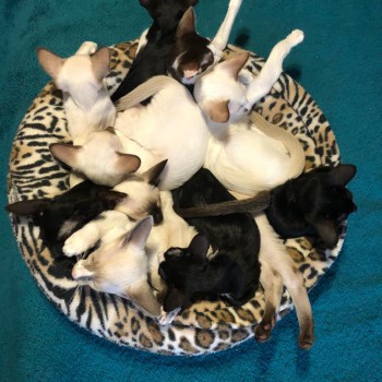 WhatsApp Image 2020-04-13 at 14.08.40